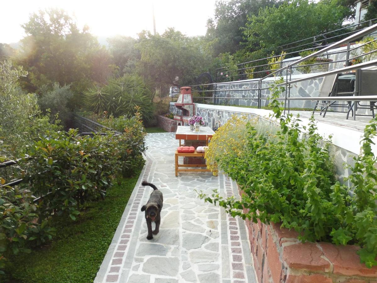 Helianthos Villa - Apartment No4 Paleo Tsifliki Exterior photo